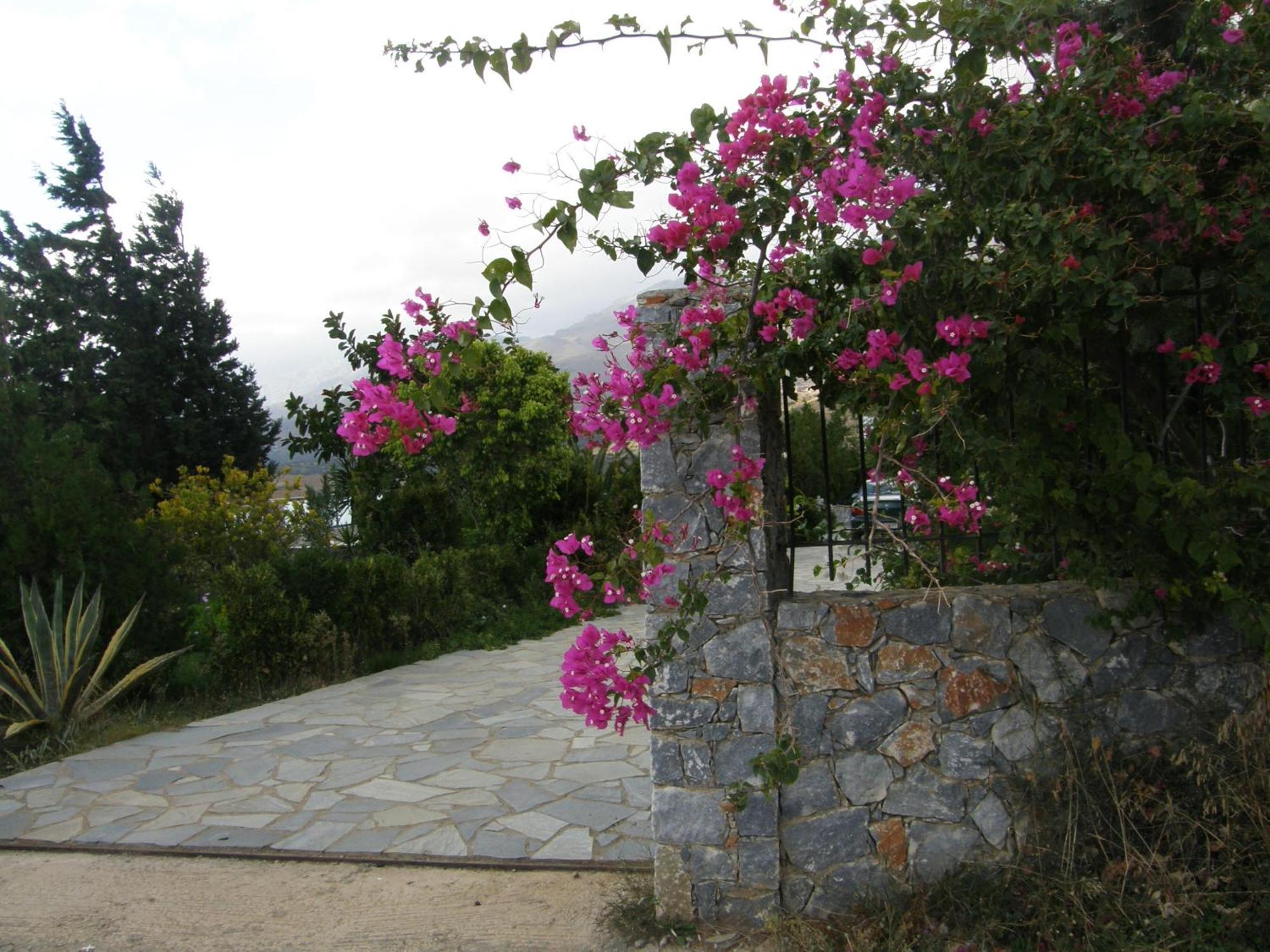 Plakias Villas Лефкойя Экстерьер фото